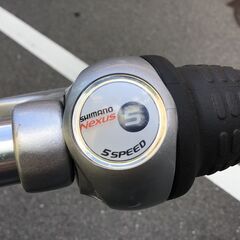 ブリヂストンの電動アシスト自転車「アルベルトe」L形【美品】の画像