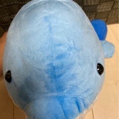 うみたまご　イルカのぬいぐるみの画像