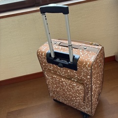 キャリーケースの画像