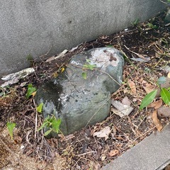庭石の引き取りの画像