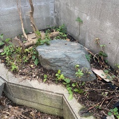 庭石の引き取りの画像