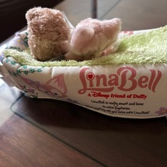 ディズニーティッシュケースの画像