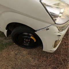 平成19年　ステラの画像