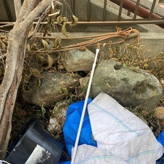 庭石の引き取りの画像