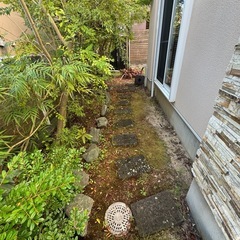 飛び石の画像