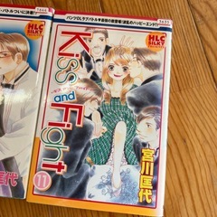 Kiss and Fght・宮川 国代・レンタル落ちの画像