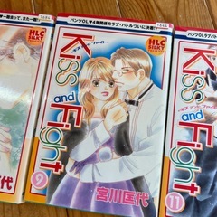 Kiss and Fght・宮川 国代・レンタル落ちの画像