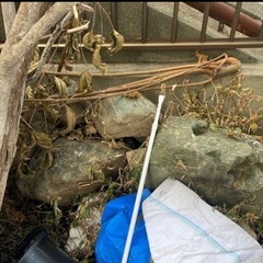 1000円あげますの画像