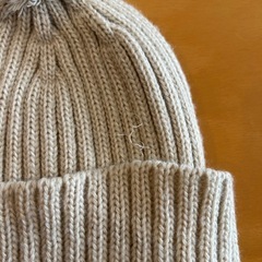 THE NORTH FACE ポンポン付きニット帽の画像