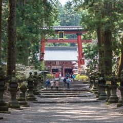 日帰りバスツアーの参加者仲間　大募集♪♪♪