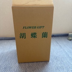 胡蝶蘭 造花の画像