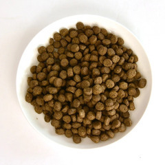 ドッグフード3kg 【POCHIベーシック ワイルドサーモン】の画像