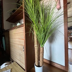 フェイクグリーン　ヤシの画像