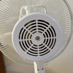扇風機　ニトリ　　2019年製の画像