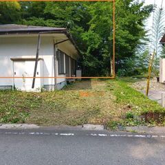 竹林☆竹が欲しい方、差上げます☆切り放題☆竹細工や和風庭園の素材などに活かしてください☆の画像