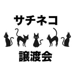 📝保護猫譲渡会開催のお知らせ(北九州)