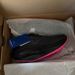 ランニングシューズ　ミズノ　27.5cmcmの画像
