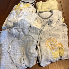 60cm〜80cmの画像