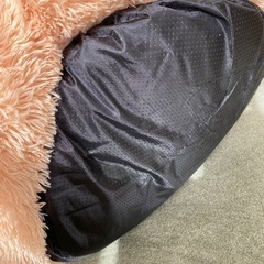 猫ベッドの画像