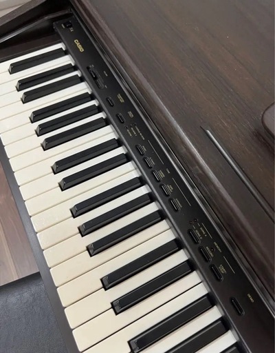 AP-10 ダークウッド 88鍵電子ピアノ casio カシオ