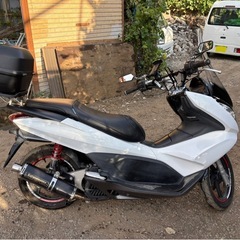 PCX125  JF28 調子良好！出勤などの足にの画像