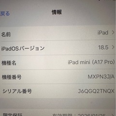 I pad minhiの画像