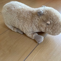 ‼️10月末で捨てます‼️カピバラ
ぬいぐるみの画像
