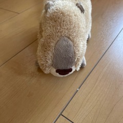 ‼️10月末で捨てます‼️カピバラ
ぬいぐるみの画像
