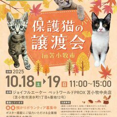 【苫小牧】保護猫の譲渡会inジョイフルAKペットワールド苫…