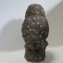 止まり木梟の画像