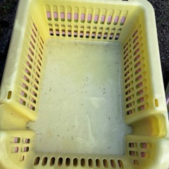 カゴの画像