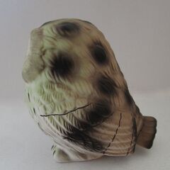 みどり梟(ふくろう)の画像