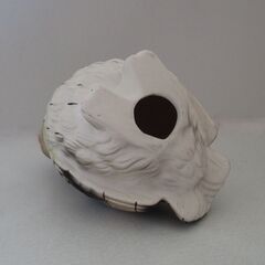 みどり梟(ふくろう)の画像