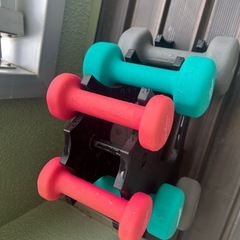 プロイロン ダンベルセットの画像