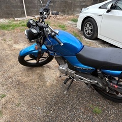 ybr125 の画像