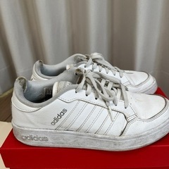 adidas スニーカー　23.5センチの画像