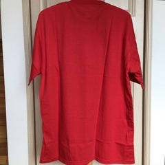 【新品未使用】シンガポール土産 Tシャツ XLサイズの画像