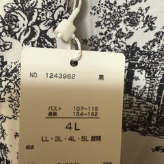 早めに取り引き出来る方！未使用 ワンピース 4Lの画像