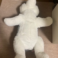 ハスキー犬の画像