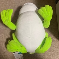 カエルの画像