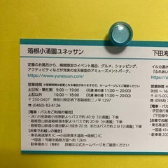 箱根ユネッサン招待券1枚(2名分)の画像