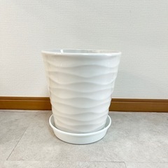 陶器の植木鉢（白）直径25cm×高さ27cm（8~9号）の画像