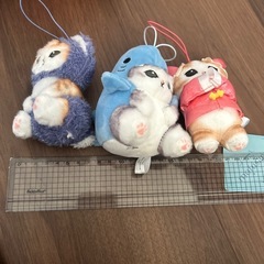 モフサンド　の画像