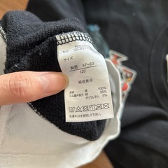 ポケモン　120㎝
ピカチュウ、ディアルガ、パルキア　トレーナーの画像