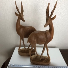 ガゼル？インパラ？の画像