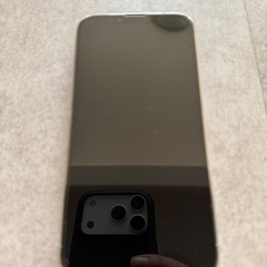 【超美品】iPhone13Pro 256GB シルバー　の画像