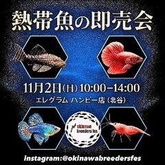 熱帯魚の即売会！熱帯魚以外もいるよ＼(^o^)／