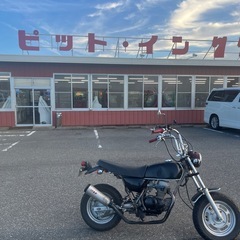 エイプ50の画像