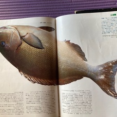 あげます　ガイドの画像