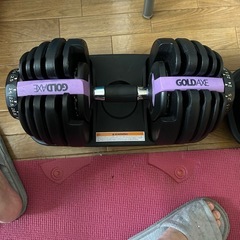 可変ダンベル　インクラインベンチ　セットの画像